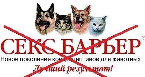 Axp9qDxhpyY