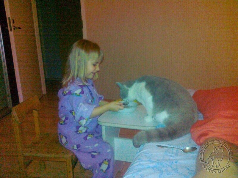 LAkZQK4oAhE