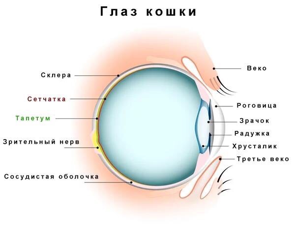bCr TUgDNMk