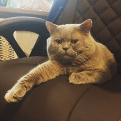 Балуша