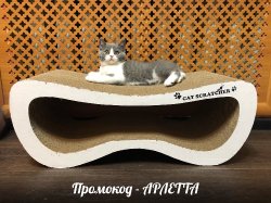 Федя