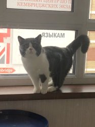 Федя