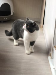 Федя