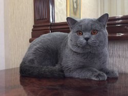 Филя