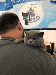 Филечка