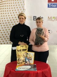 на выставке
