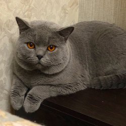 на выставке