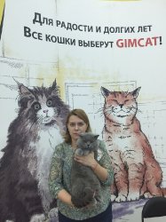 Филя на выставке