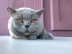 Филя на сьемке в рекламе