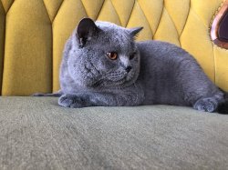 Филя на сьемке в рекламе