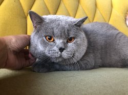 Филя на сьемке в рекламе