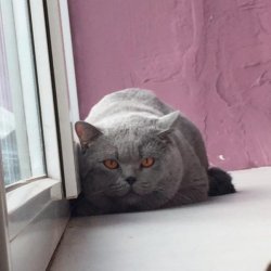 Филя на сьемке в рекламе