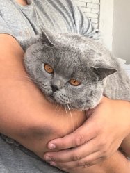 Филя на сьемке в рекламе