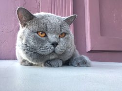 Филя на сьемке в рекламе