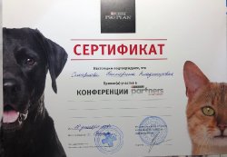 ветеринарная конференция