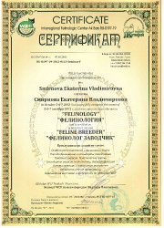 Сертификаты