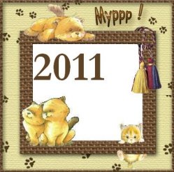 Помет 2011