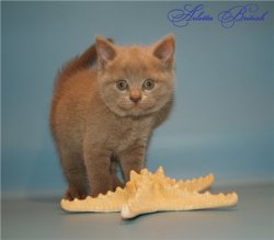 выпускники 