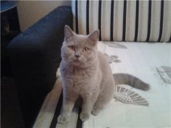 выпускники 