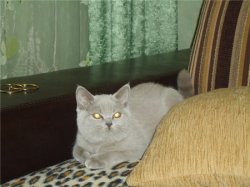 выпускники 
