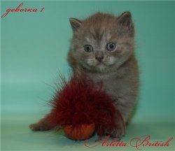 выпускники 