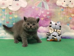 Оливер