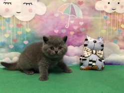 Оливер