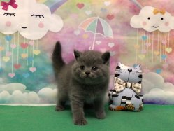 Оливер