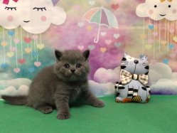 Оливер
