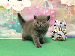 Оливер