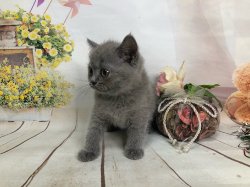 Парамон