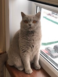 Нюта
