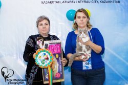 на выставке в Казахстане