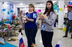 на выставке в Казахстане