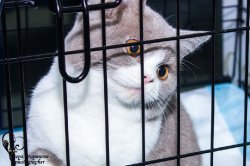 на выставке в Казахстане