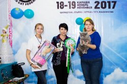 на выставке в Казахстане