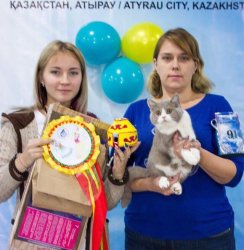 на выставке в Казахстане