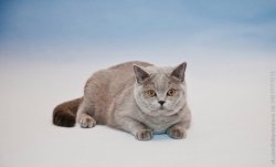 Кира 8 мес