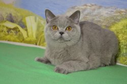 Кирюша 9 месяцев
