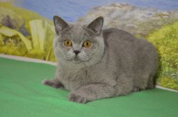Кирюша 9 месяцев