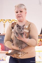 на выставке