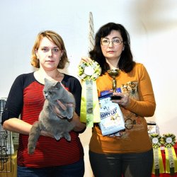Кирюша на выставке