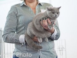 выставка в Чебоксарах