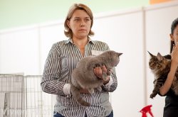 выставка в Чебоксарах