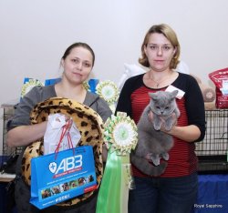 выставка в Казани
