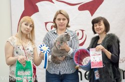 выставка в Чебоксарах