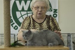 выставка в Казани