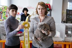 выставка в Тольятти