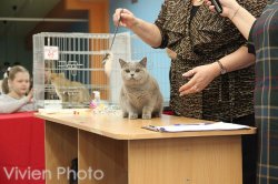 выставка в Чебоксарах