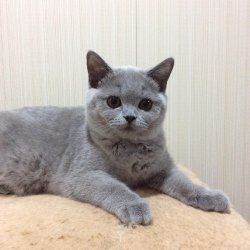 Kimberly
